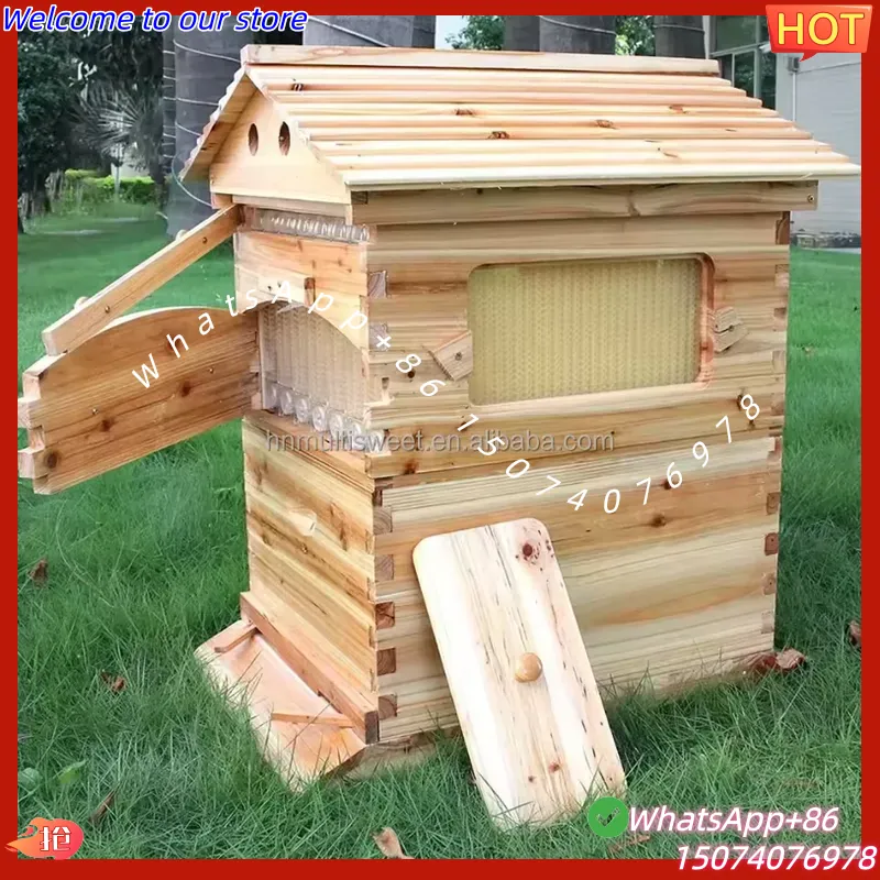 2026 Chinese Wax-Coated China  - đánh giá và giá Beehive Frame Wax