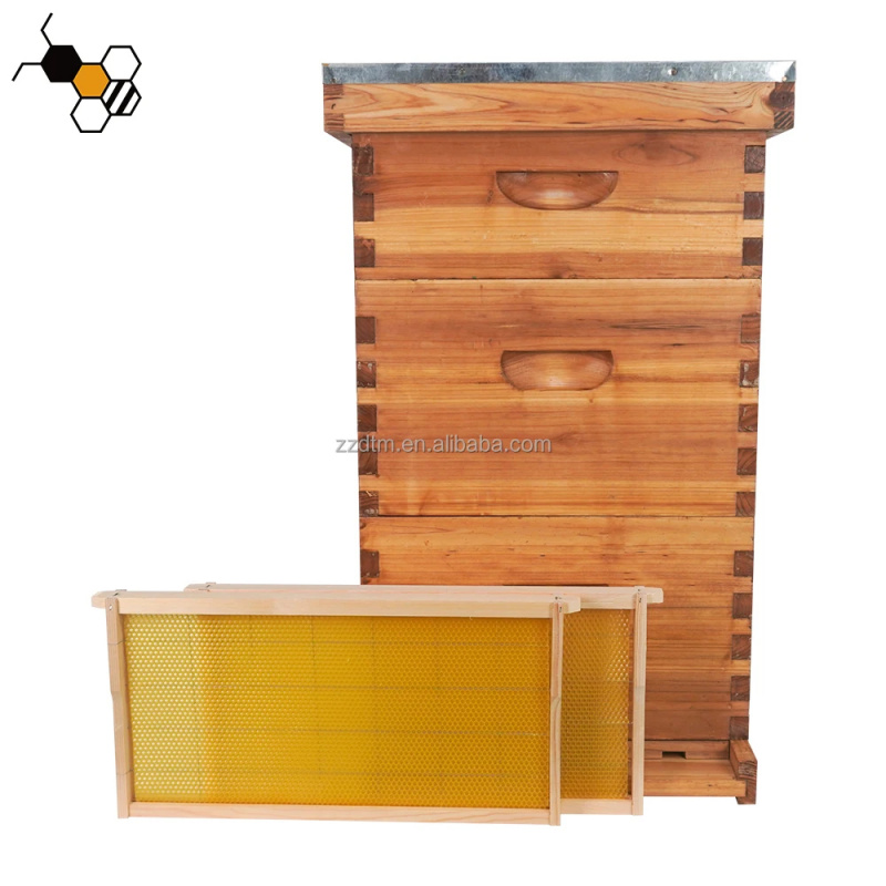 High-Quality 30-Frame Bee Hive - đánh giá và giá Beehive Frame Wax