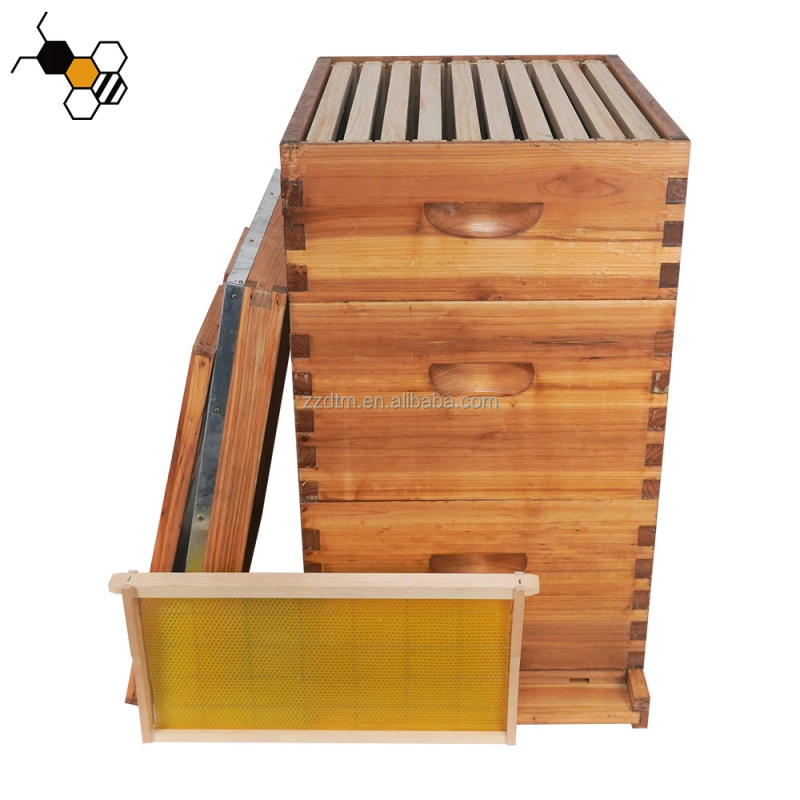 High-Quality 30-Frame Bee Hive - đánh giá và giá Beehive Frame Wax