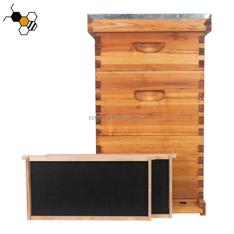 High-Quality 30-Frame Bee Hive - đánh giá và giá Beehive Frame Wax