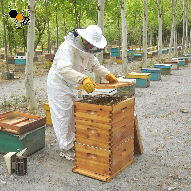 High-Quality 30-Frame Bee Hive - đánh giá và giá Beehive Frame Wax