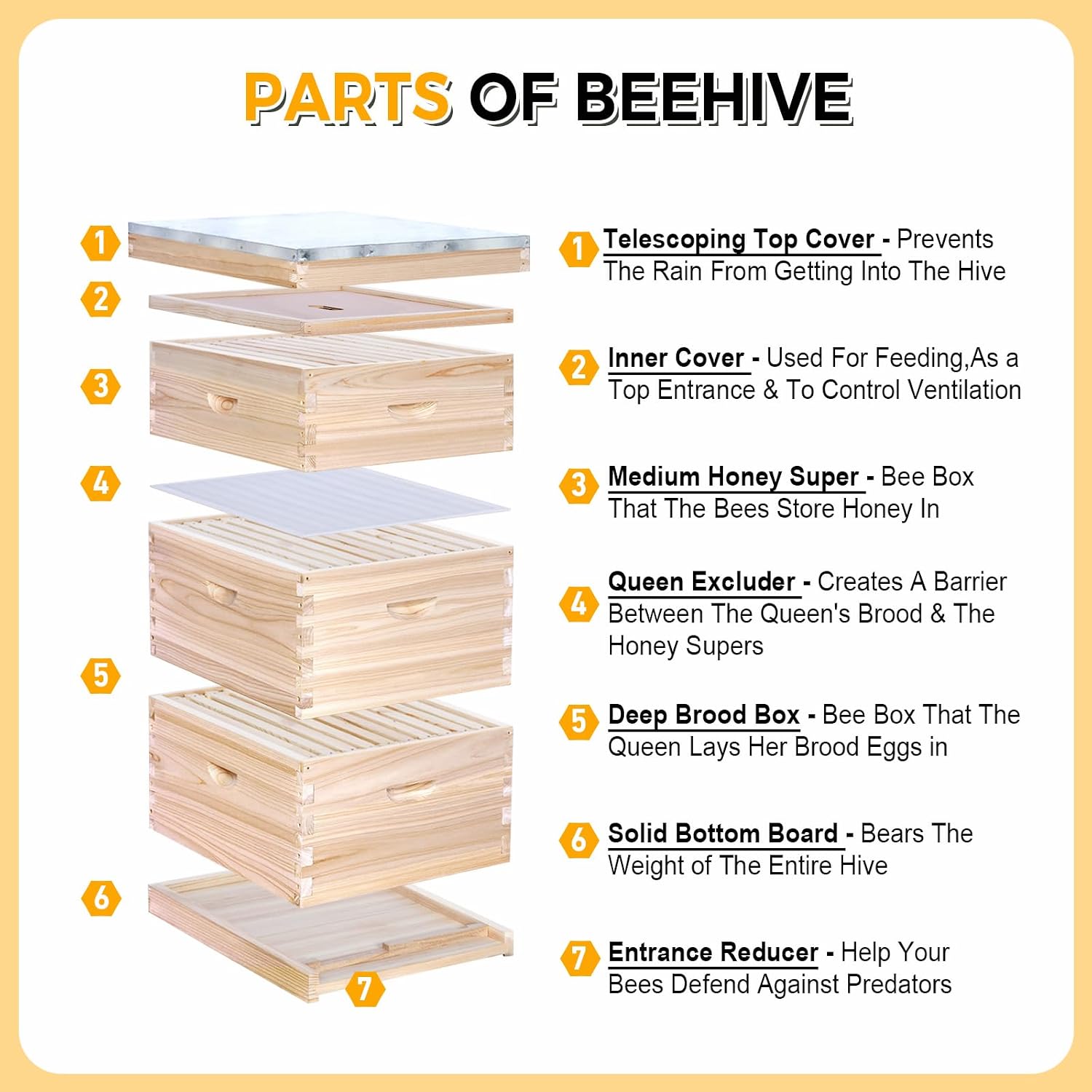 10-Frame Complete Bee Hives an - đánh giá và giá Beehive Frame Wax