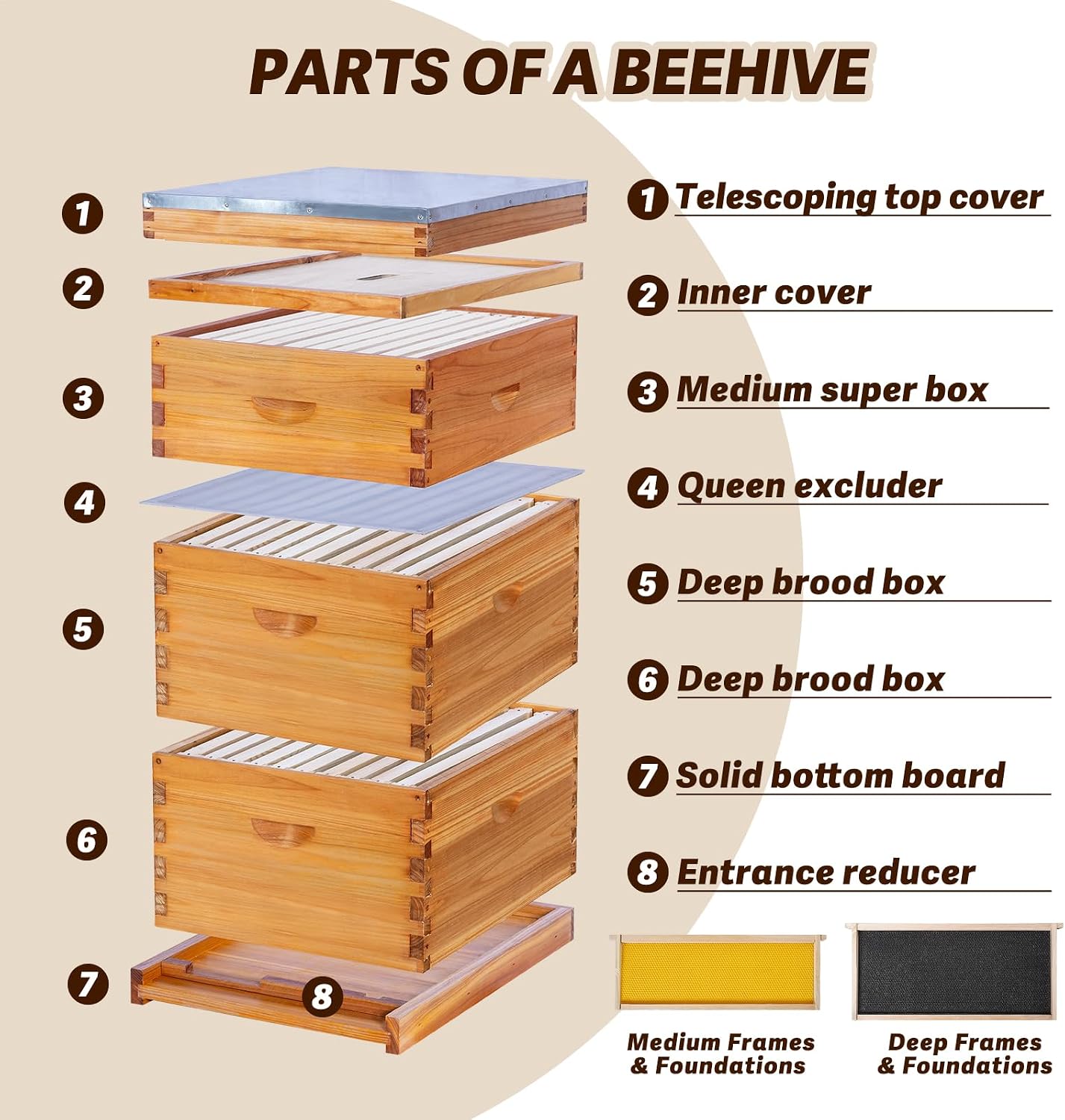 10-Frame Langstroth Bee Hive C - đánh giá và giá Beehive Frame Wax