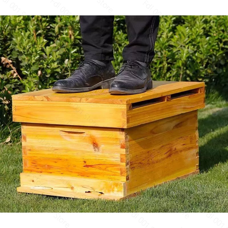 Complete Beehive Kit 10 Frames - đánh giá và giá Beehive Frame Wax