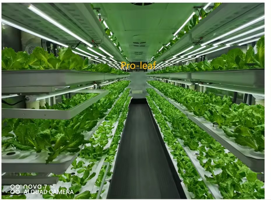 f Greenhouse Agricultural Equi - đánh giá và giá Agriculture Farming Vegetables