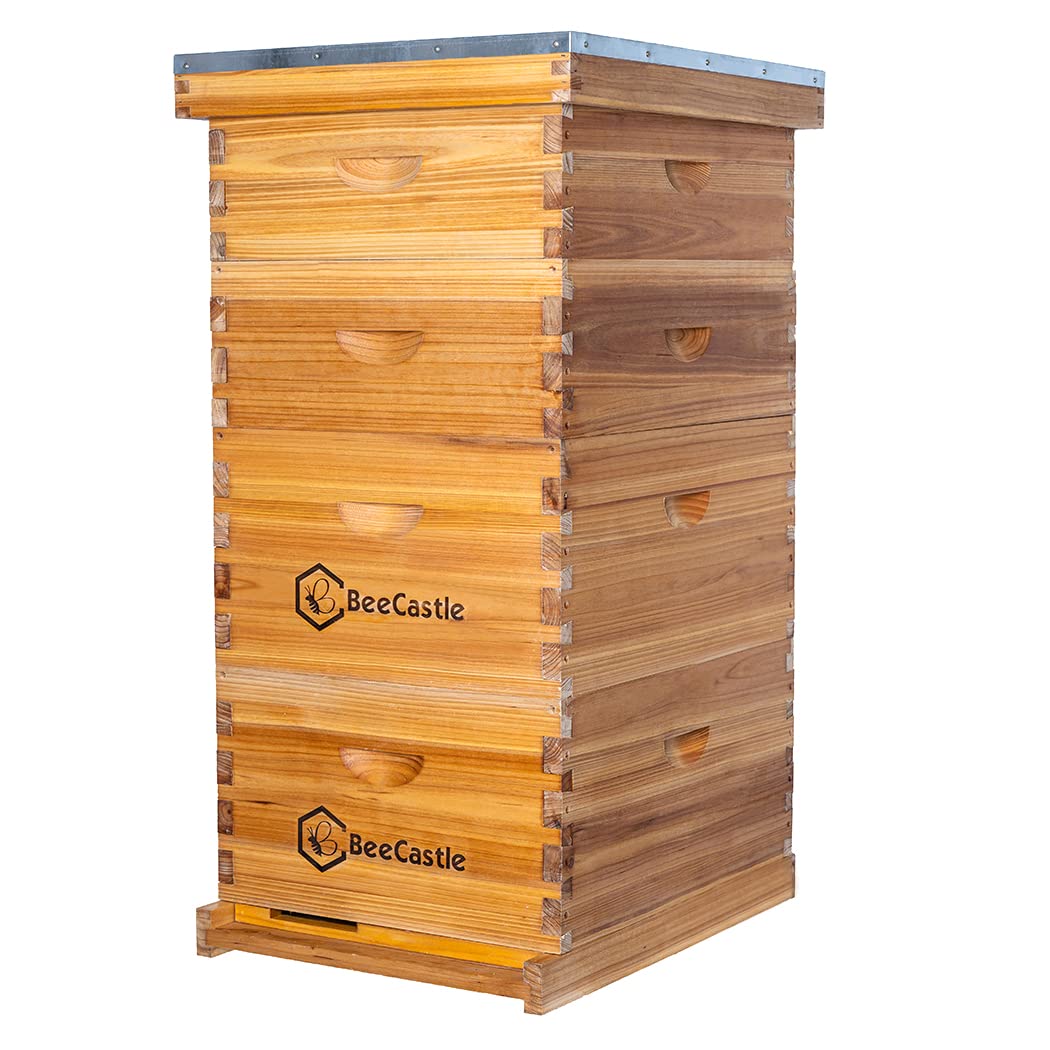 10 Frame Langstroth Bee Hive C - đánh giá và giá Beehive Frame Wax
