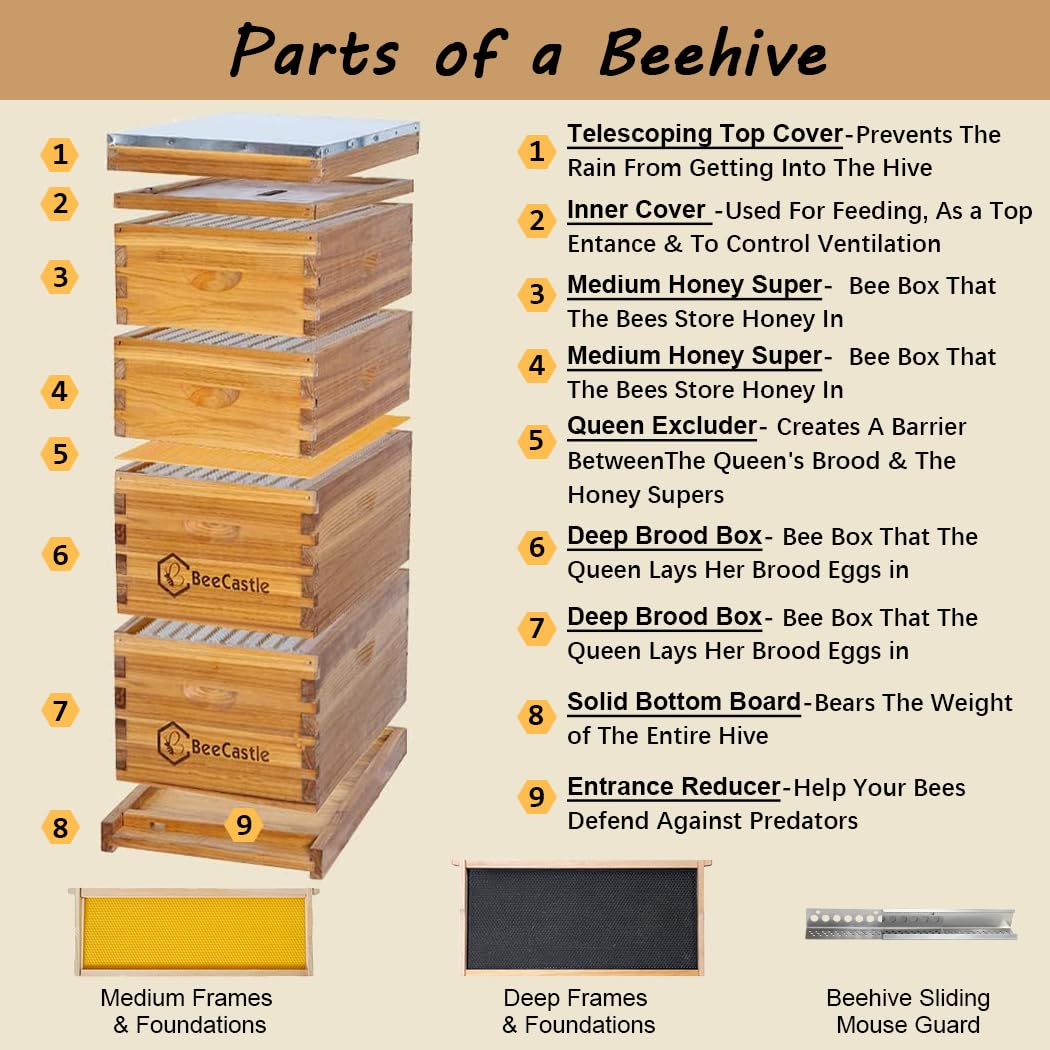 10 Frame Langstroth Bee Hive C - đánh giá và giá Beehive Frame Wax