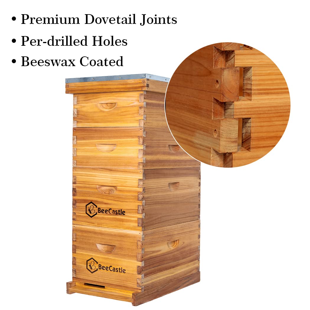 10 Frame Langstroth Bee Hive C - đánh giá và giá Beehive Frame Wax