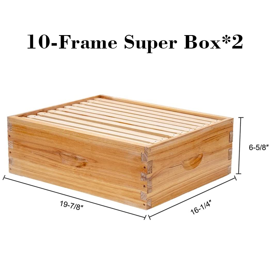 10 Frame Langstroth Bee Hive C - đánh giá và giá Beehive Frame Wax