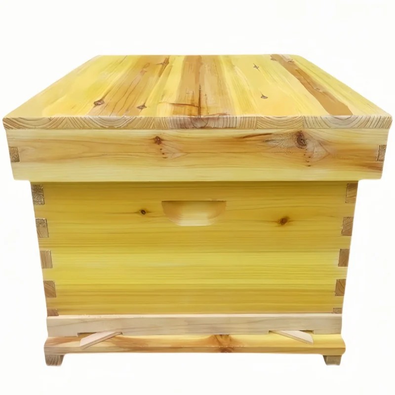 Bee Hive in Bee Box, A Full Se - đánh giá và giá Beehive Frame Wax