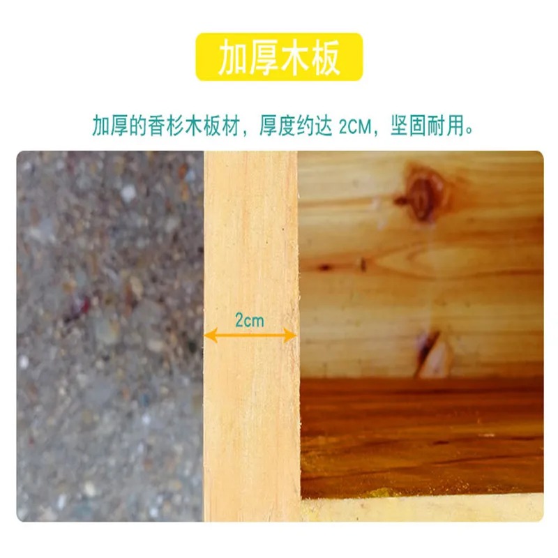 Bee Hive in Bee Box, A Full Se - đánh giá và giá Beehive Frame Wax