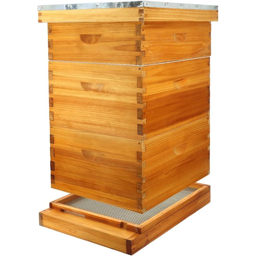 10-Frame Beehive Kit with Waxe - đánh giá và giá Beehive Frame Wax