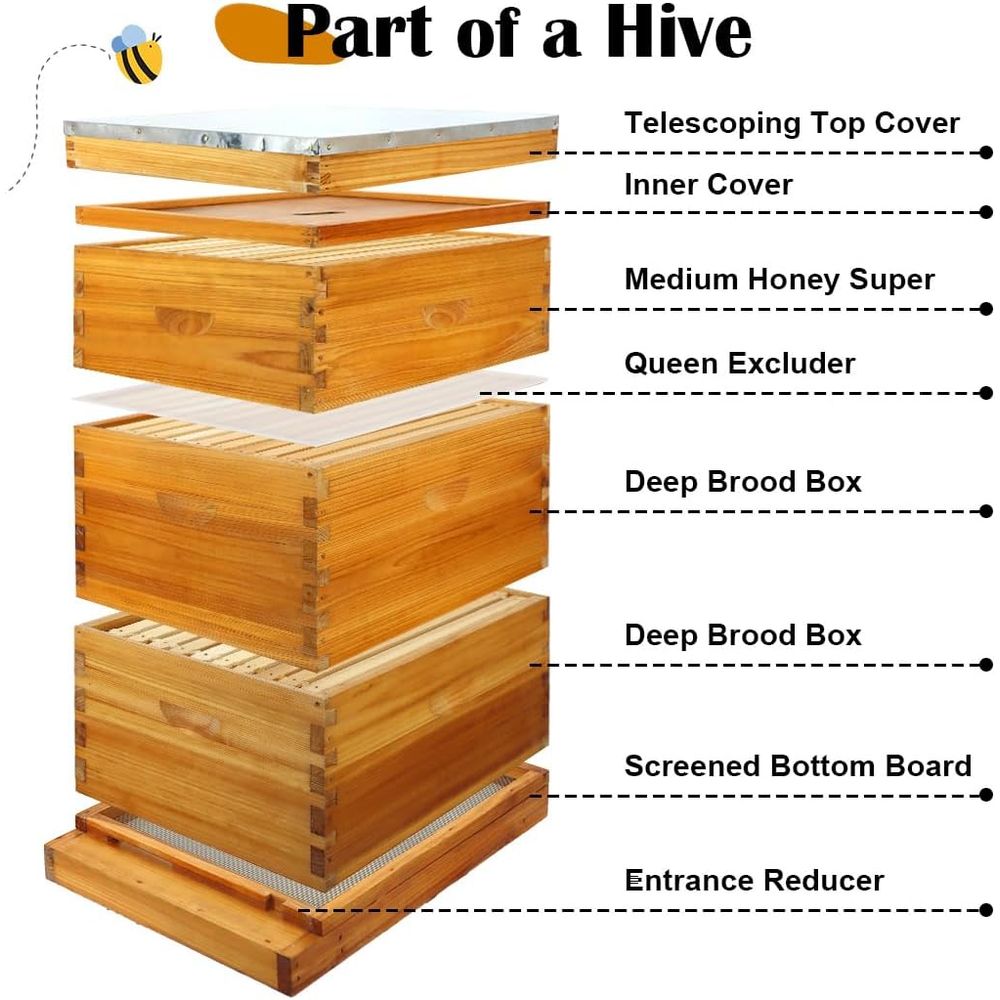10-Frame Beehive Kit with Waxe - đánh giá và giá Beehive Frame Wax