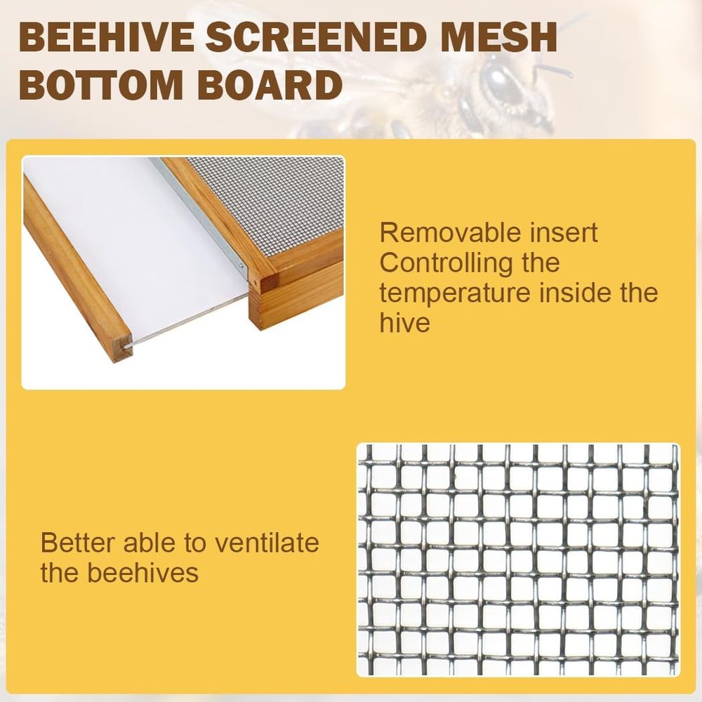 10-Frame Beehive Kit with Waxe - đánh giá và giá Beehive Frame Wax