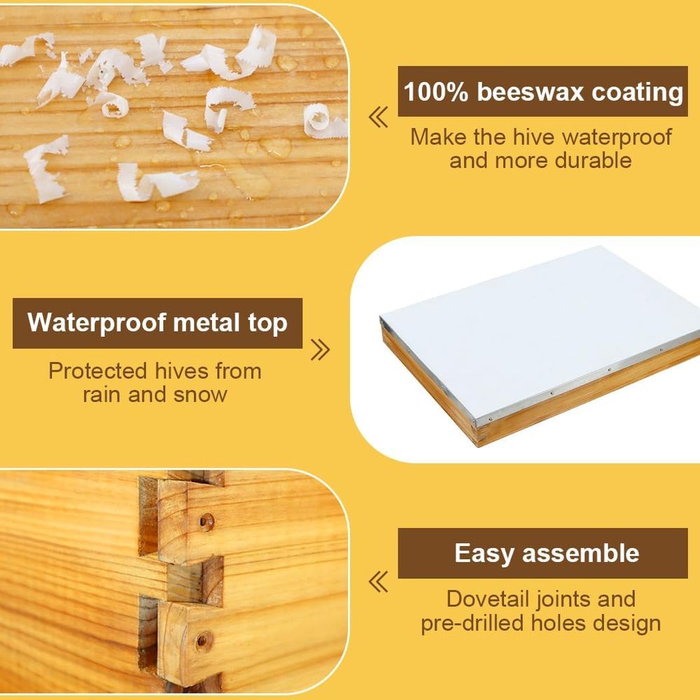 10-Frame Beehive Kit with Waxe - đánh giá và giá Beehive Frame Wax