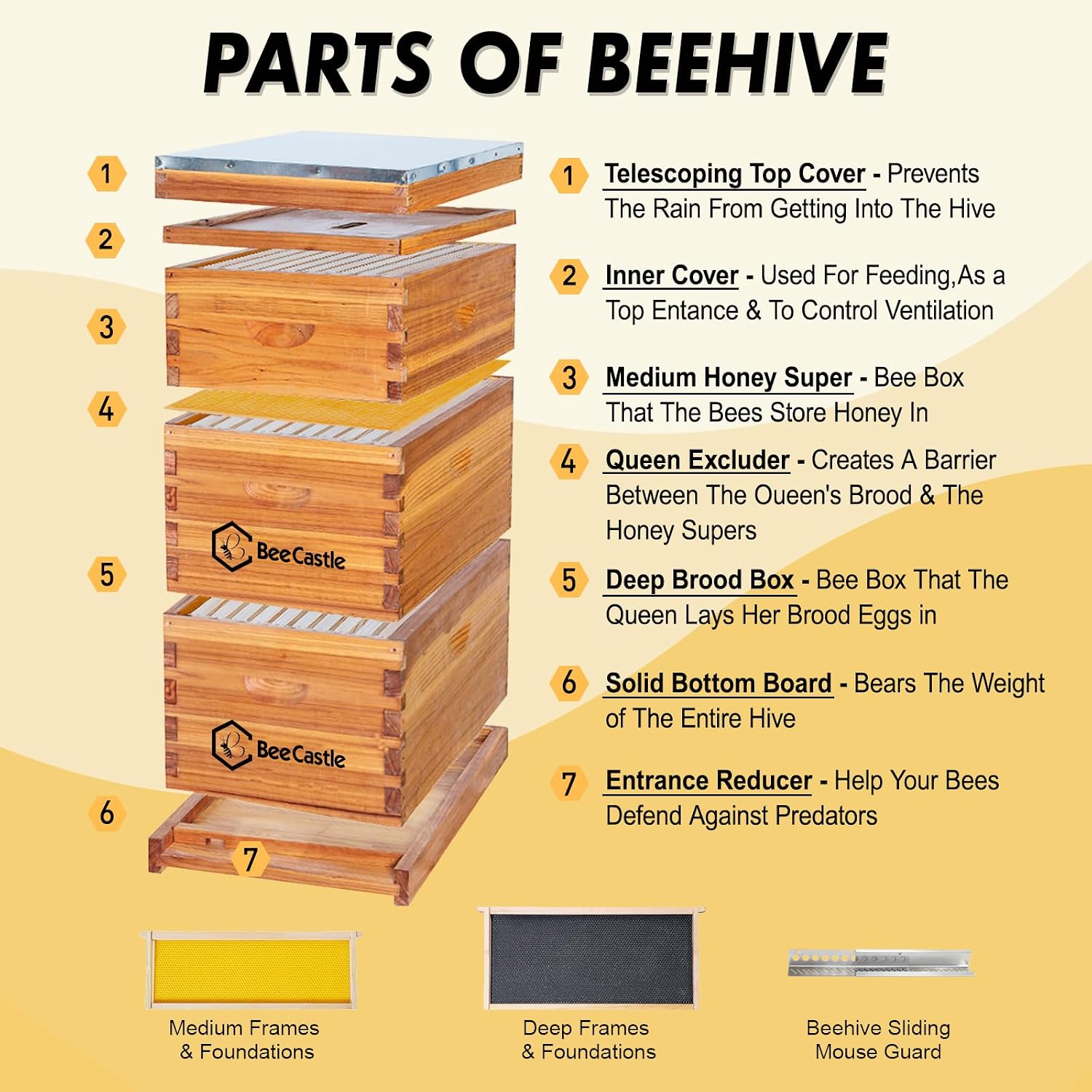10 Frame Langstroth Bee Hive C - đánh giá và giá Beehive Frame Wax