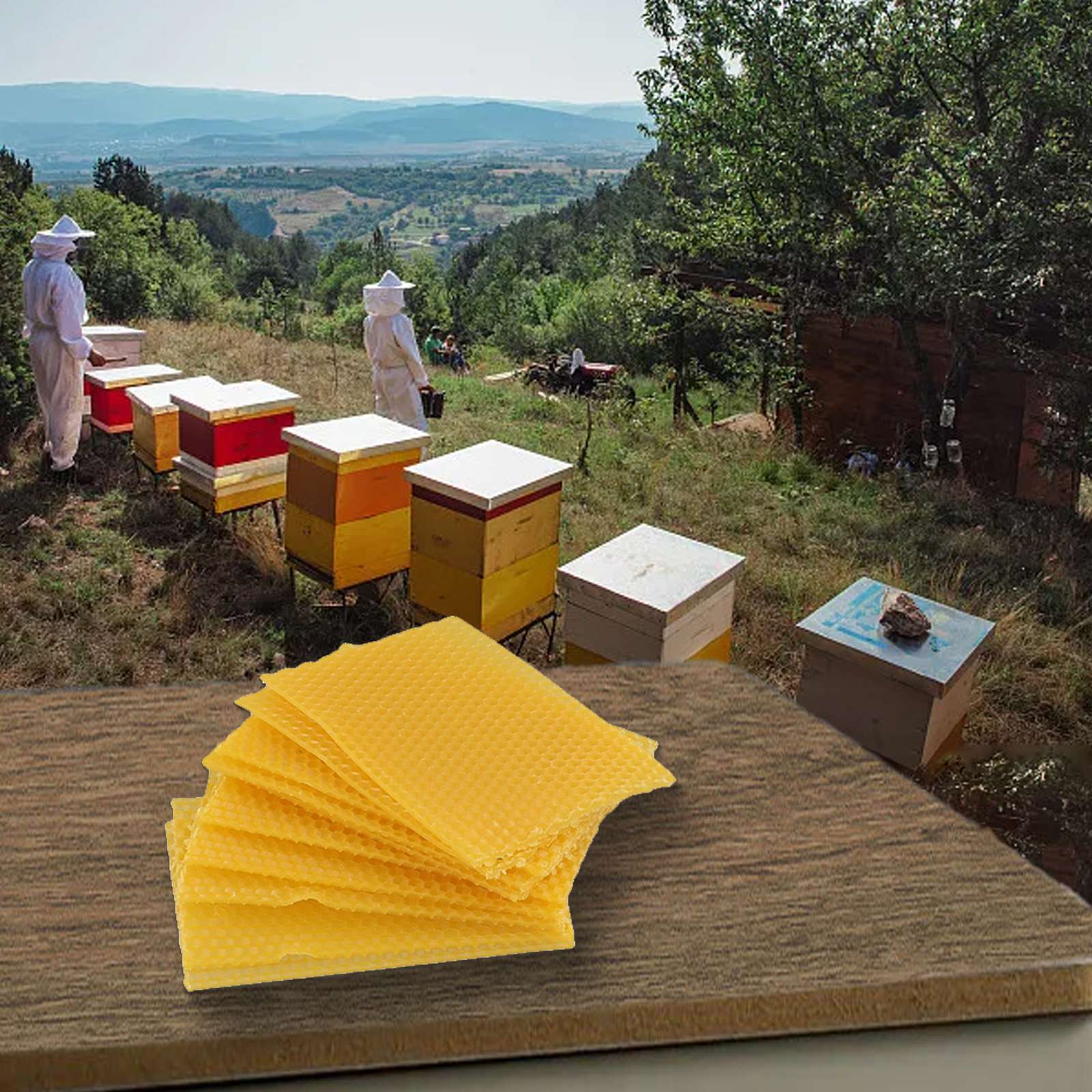Bee Hive Wax Frames 9cm524x Eq - đánh giá và giá Beehive Frame Wax