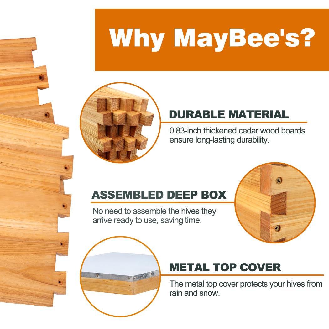 Beehive Starter Kit 8-Frame Be - đánh giá và giá Beehive Frame Wax