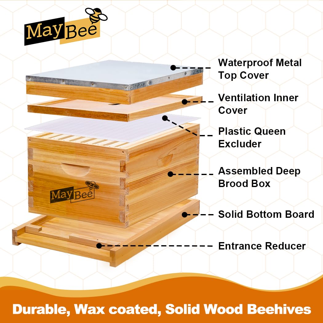 Beehive Starter Kit 8-Frame Be - đánh giá và giá Beehive Frame Wax
